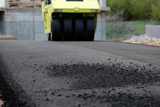 Best Residential Paver Driveway  in Windsor, VA